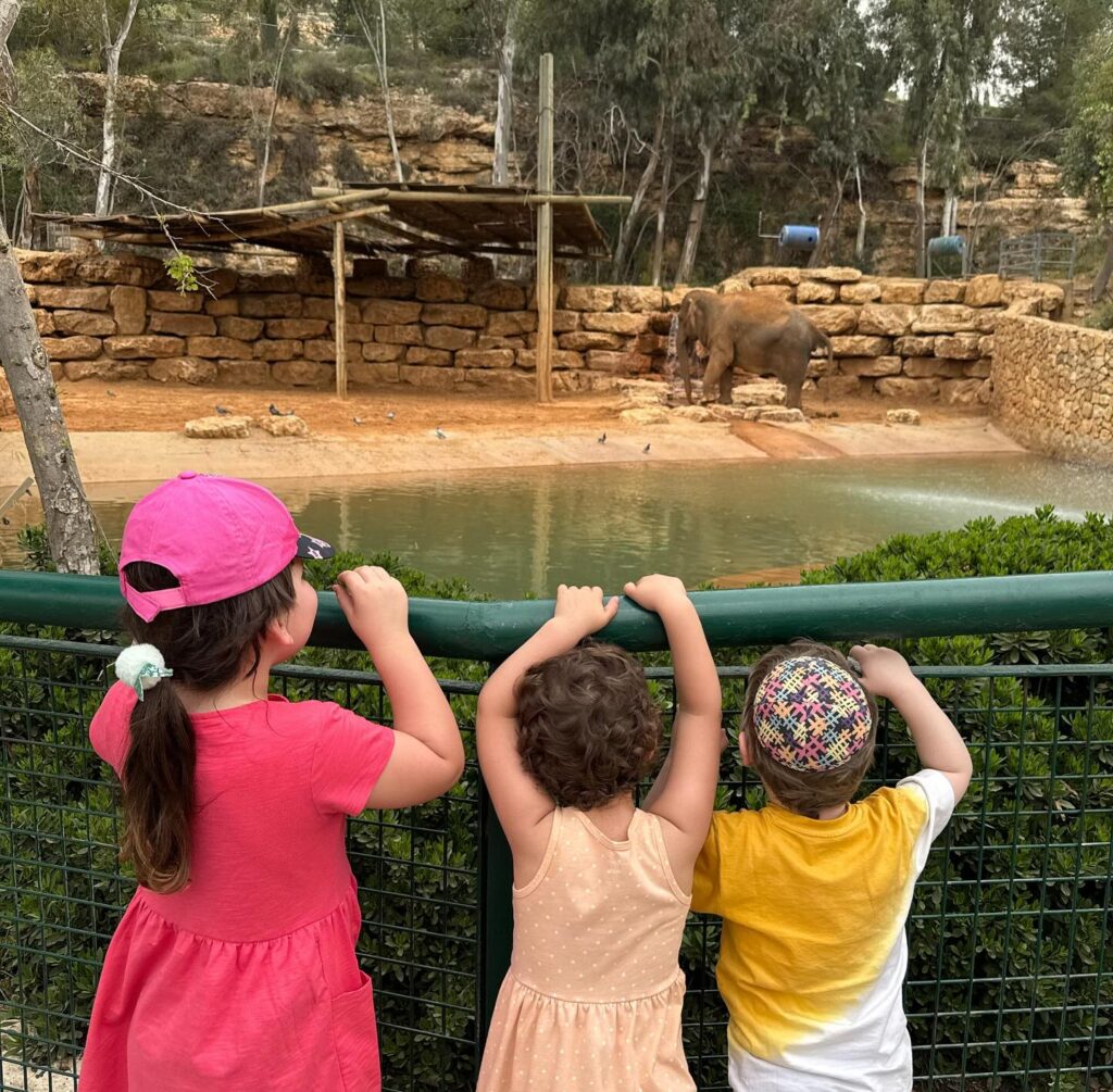 Instagram post from zichronmenachem. This post is in position 1.